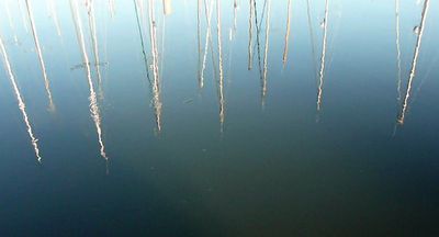 REFLETS_1000144(voir)