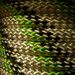 BOUTE_1070101