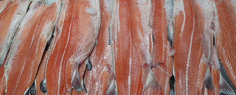 SALMON PACIFICO_B231030