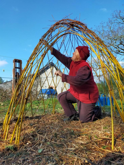 Cabane osier IMG20230304162651